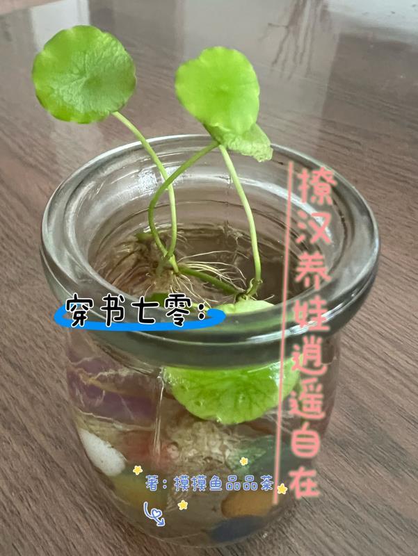 穿书系统七零养崽记 穿书系统七零养崽记