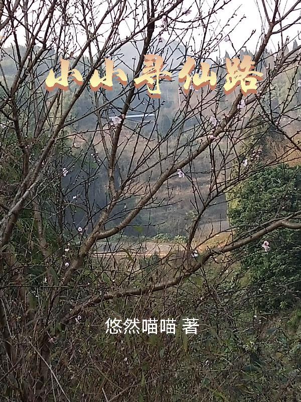 寻仙小游戏 寻仙小游戏