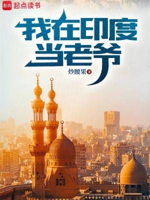 我在印度当老爷起点中文网