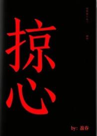 掠心套 掠心套