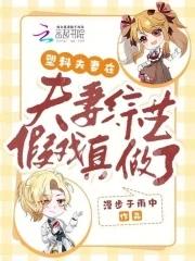 塑料夫妻情 塑料夫妻情