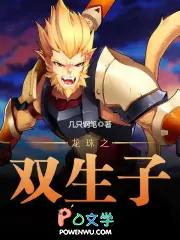 龙珠之双生子 几只钢笔