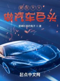 重生造车到世界首富 重生造车到世界首富