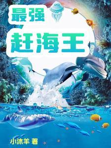 最强赶海王张海 最强赶海王张海