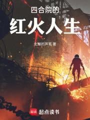 四合院的红火人生精校版 四合院的红火人生精校版