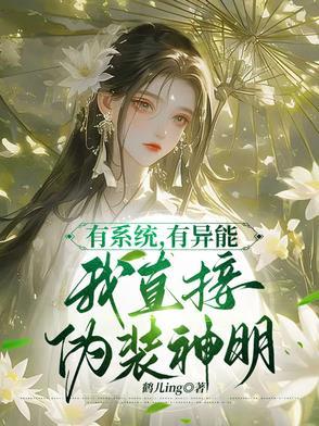 我有系统了 我有系统了