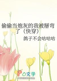 偷偷当炮灰的我被掰弯 偷偷当炮灰的我被掰弯