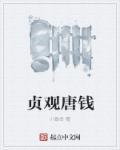 唐朝贞观铜钱 唐朝贞观铜钱