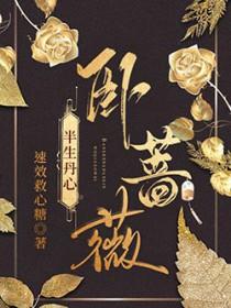 半生丹心卧蔷薇全文阅读最新章节更 半生丹心卧蔷薇全文阅读最新章节更