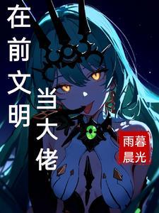 崩坏我在前文明 崩坏我在前文明