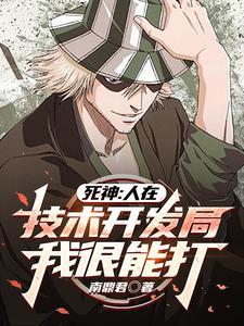 关于死神斩魄刀的 关于死神斩魄刀的