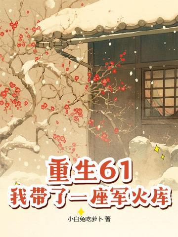 我带了一座军火库全文阅读 我带了一座军火库全文阅读