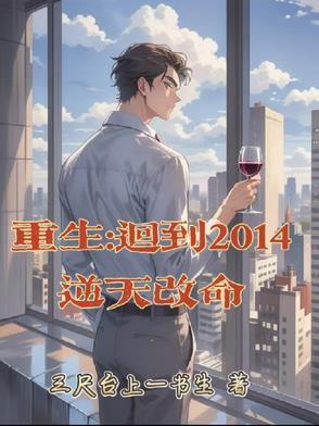 重生到2014年的 重生到2014年的