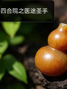 四合院解气神医 四合院解气神医