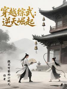 穿越综武世界的武侠 穿越综武世界的武侠