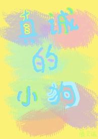 主角叫真诚的