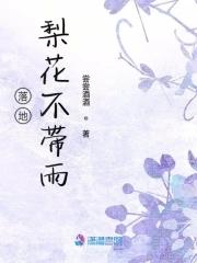 梨花落地无声免费阅读 梨花落地无声免费阅读