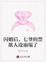 七少爷的心尖宠 七少爷的心尖宠