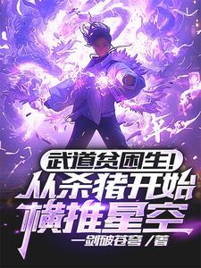 武道贫困生从杀猪开始横推星空思路客 武道贫困生从杀猪开始横推星空思路客