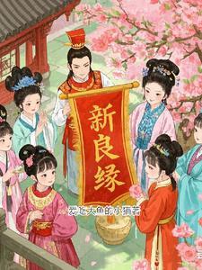 新良缘电视剧全集播放在线观看 新良缘电视剧全集播放在线观看