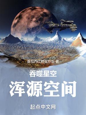 吞噬星空混沌城主 吞噬星空混沌城主