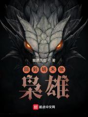 回到明末做枭雄笔趣阁在线阅读 回到明末做枭雄笔趣阁在线阅读