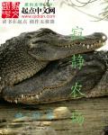 寂静村是什么意思