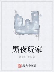 黑夜玩家免费阅读 黑夜玩家免费阅读