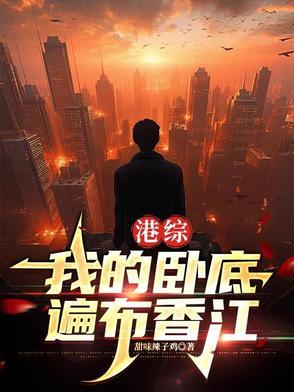 港综卧底 港综卧底