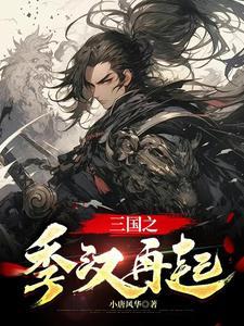 三国之汉室再起123 三国之汉室再起123