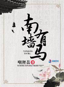 南墙指的什么生肖