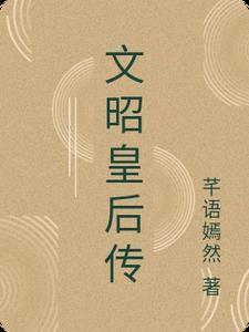 文昭官 剧情介绍