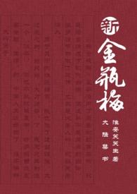 新金瓶梅 剧情介绍 新金瓶梅 剧情介绍