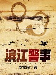 滨江警事TXT奇书网