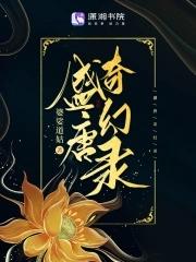 盛唐奇案的要诀 盛唐奇案的要诀