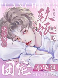 团宠小包子宠上天 团宠小包子宠上天