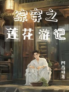 综穿之旅 综穿之旅