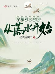 穿越到大梁国从落水开始 红烧豆腐干 穿越到大梁国从落水开始 红烧豆腐干