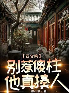 傻柱的别样人生 傻柱的别样人生