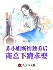 苏小姐不也骗了我吗 苏小姐不也骗了我吗