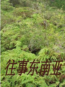刚逃回国的他们亲述缅北恐怖遭遇 刚逃回国的他们亲述缅北恐怖遭遇