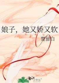 娘子她又娇又软gl晋江 娘子她又娇又软gl晋江