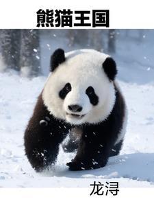 熊猫王国之巅现在能否上去 熊猫王国之巅现在能否上去