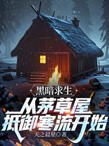 黑暗求生从茅草屋抵御寒流开始 黑暗求生从茅草屋抵御寒流开始