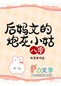 后妈文里炮灰前妻