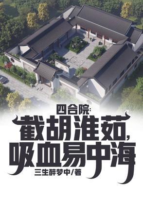老四合院布局 老四合院布局