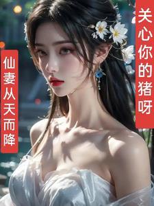仙妻从天降 仙妻从天降