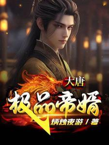 大唐极品帝婿免费阅读全文 大唐极品帝婿免费阅读全文