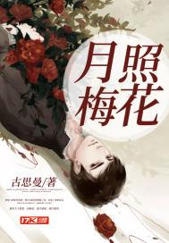 月照梅花无字诗对联 月照梅花无字诗对联