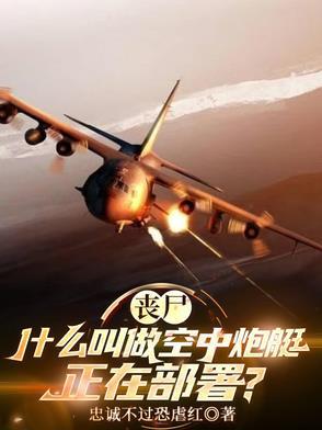 空中炮艇百科 空中炮艇百科